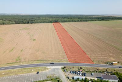 Teren Construcții intravilan de 21500 mp, în Brănești - 4