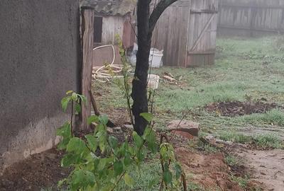 Vand casa la tara - 5