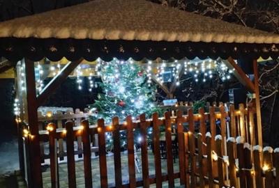 Casă cu 5 camere cu Teren 750 Mp în Lugojel - 5