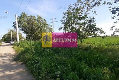 Teren Construcții intravilan de 5000 mp, în Copăceni - 7