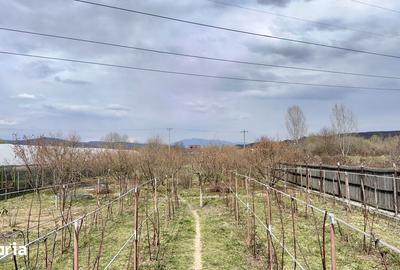 Casă cu 5 camere cu Teren 3000 Mp în Budești - 11