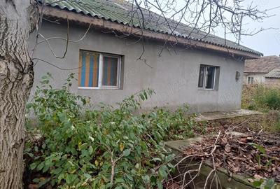 Dau in Chirie Casa Movila - 7