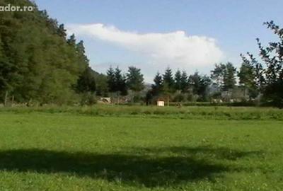 Casa batraneasca si teren - 3