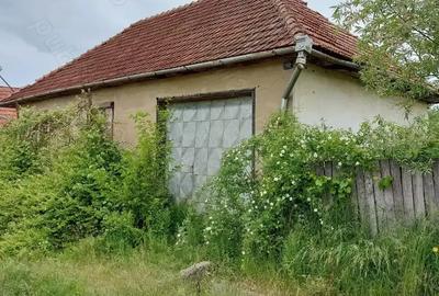 Vand case ?i terenuri la tara - 10