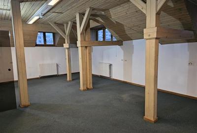 Vila interbelica renovata - de inchiriat pentru birouri - 7