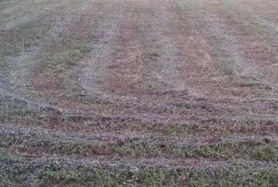 Spațiu comercial, în Cărpiniș - 29