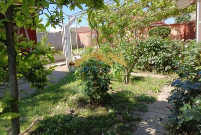 Casă individuală cu 5 camere cu Canalizare în Vladimirescu - 45