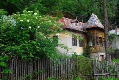 Teren de 1970 mp, în Provița de Jos - 2