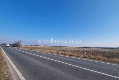 Vanzare Teren Extravilan 11000 mp, in Aricestii Rahtivani, Jud Prahova - 6