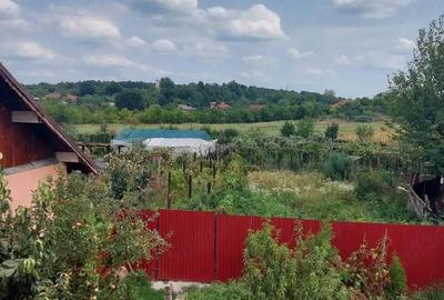 Casă cu 7 camere cu Teren 2800 Mp în Cârbești - 9