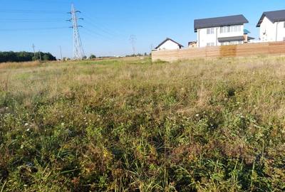 Comuna berceni ,str Miorita Comuna berceni ,str Miorita - 2