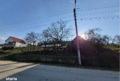 Spațiu comercial, în Nădrag - 7