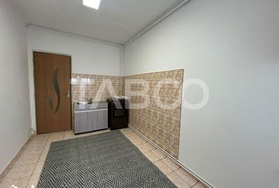 Apartament cu 2 camere nedecomandat, mobilat în Țiglari - 5