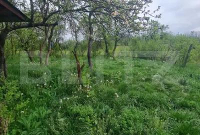 Casă cu 3 camere cu Teren 5520 Mp în Sânpaul - 14