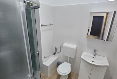 Garsonieră semidecomandată, mobilată în Unirii - 10