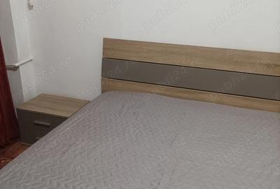 Apartament cu 2 camere decomandat în Gorjului - 4