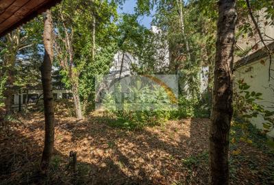 Casă individuală cu 16 camere cu Canalizare în Basarab - 36