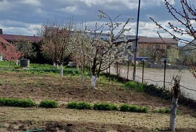 Casă cu 3 camere în Bulgaria - 4