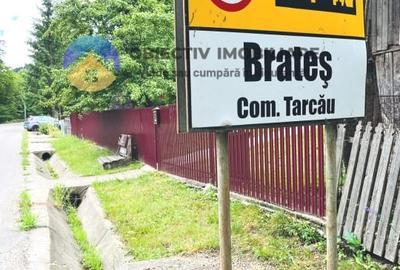 TEREN intravilan   8.000 mp TARCAU - 8