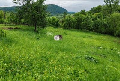 Vand casa batraneasca sat trestia com baita - 3