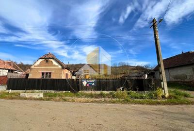 Teren intravilan de vanzare - Dipsa - 2