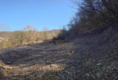 Teren de 3384 mp, în Sud - 2