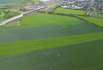 Teren agricol extravilan de 28089 mp, în Nord - 11