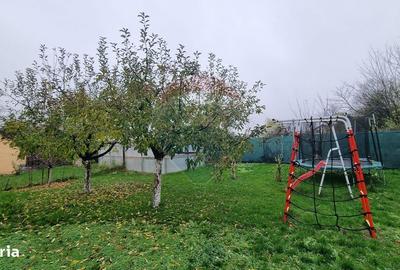 Casă cu 8 camere cu Teren 1000 Mp în Belciugatele - 14