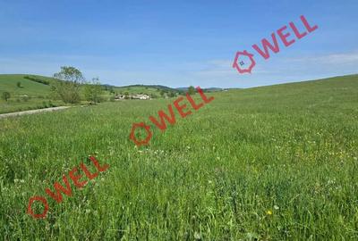 Teren intravilan de 3267 mp, în Barcani - 5