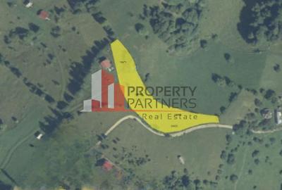 Teren in sat Pestera, comuna Moeciu. - 12