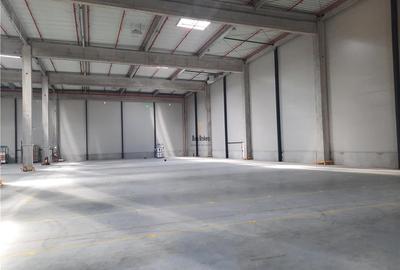 Spatiu Industrial - 4000 mp - Logistica - Productie - Depozitare - Distributie - 2