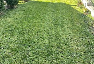 Casă cu Teren 450 Mp în Central - 2