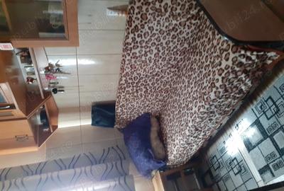 Camera camin Concas - 3