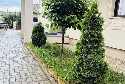 Apartament cu 2 camere semidecomandat în Braytim - 1