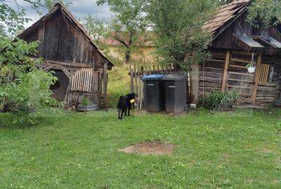 Casa la tara de vanzare, teren de 6000 mp - Cacova Ierii, Comuna Iara, Cluj - 5