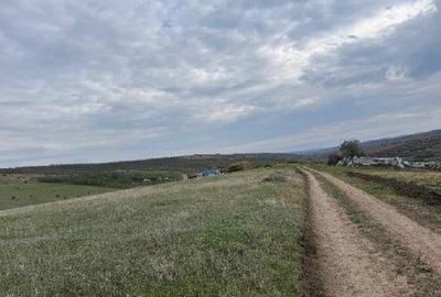 Teren de 4500 mp, în Perieni - 4