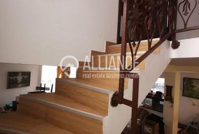 Ovidiu Vila P+E (COD 06) - 4