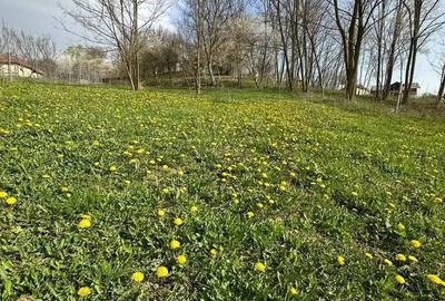 Teren de 3513 mp, în Vișinești - 5