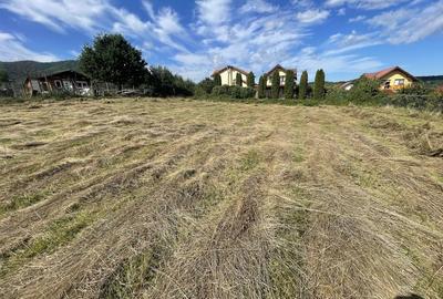 Spațiu comercial, în Central - 2