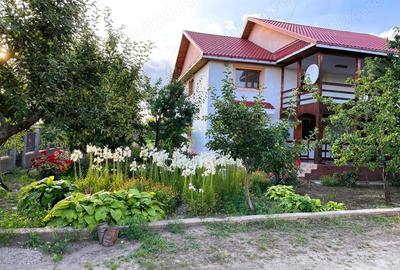 Casa P+M in Zona Capatanesti, Maracineni - 1