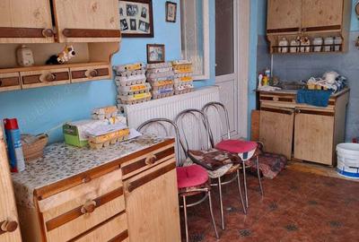 Vanzare casa + terenuri - 8