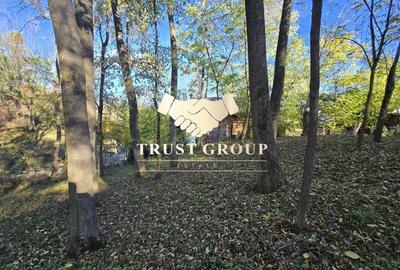 Casa S+P TEREN 1508mp Casa S+P TEREN 1508mp - 11