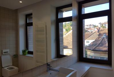 Vila pe doua niveluri pentru birouri - zona Brasovul Vechi-cod 5183 - 3