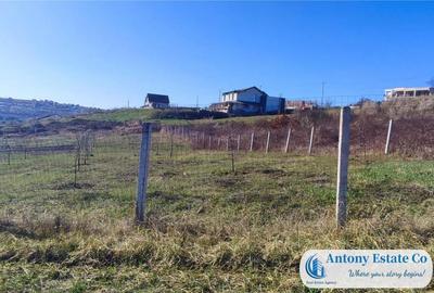 Teren intravilan de - Zona Saldabagiu De Munte, Bihor - 2