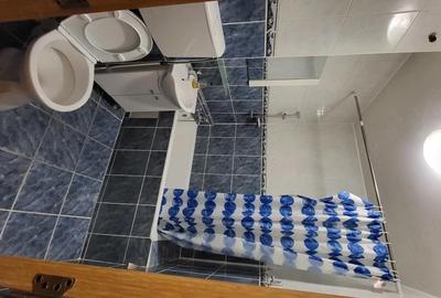 Garsonieră nedecomandată în Central - 5