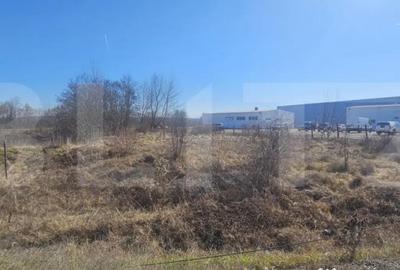Teren de 3500 mp, în Sântuhalm - 4