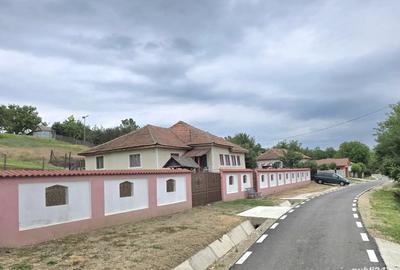 Vand casa batraneasca Sat Breznicioara Comuna Stangaceaua jude?ul Mehedin?i - 5