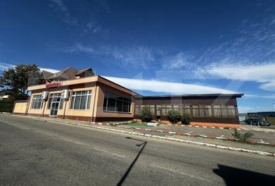 Spatiu comercial , 800 mp ulili si parcare proprie, zona centura Jiului - 3