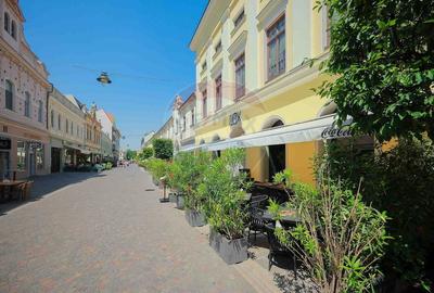 De vanzare -- Spatiu comercial parter 409 mp, Vasile Alecsandri - 35