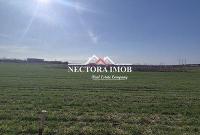 Teren de 537 mp, în Central - 5